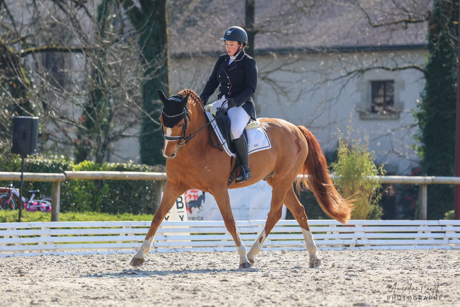 Cheval en mouvement sur le rectangle