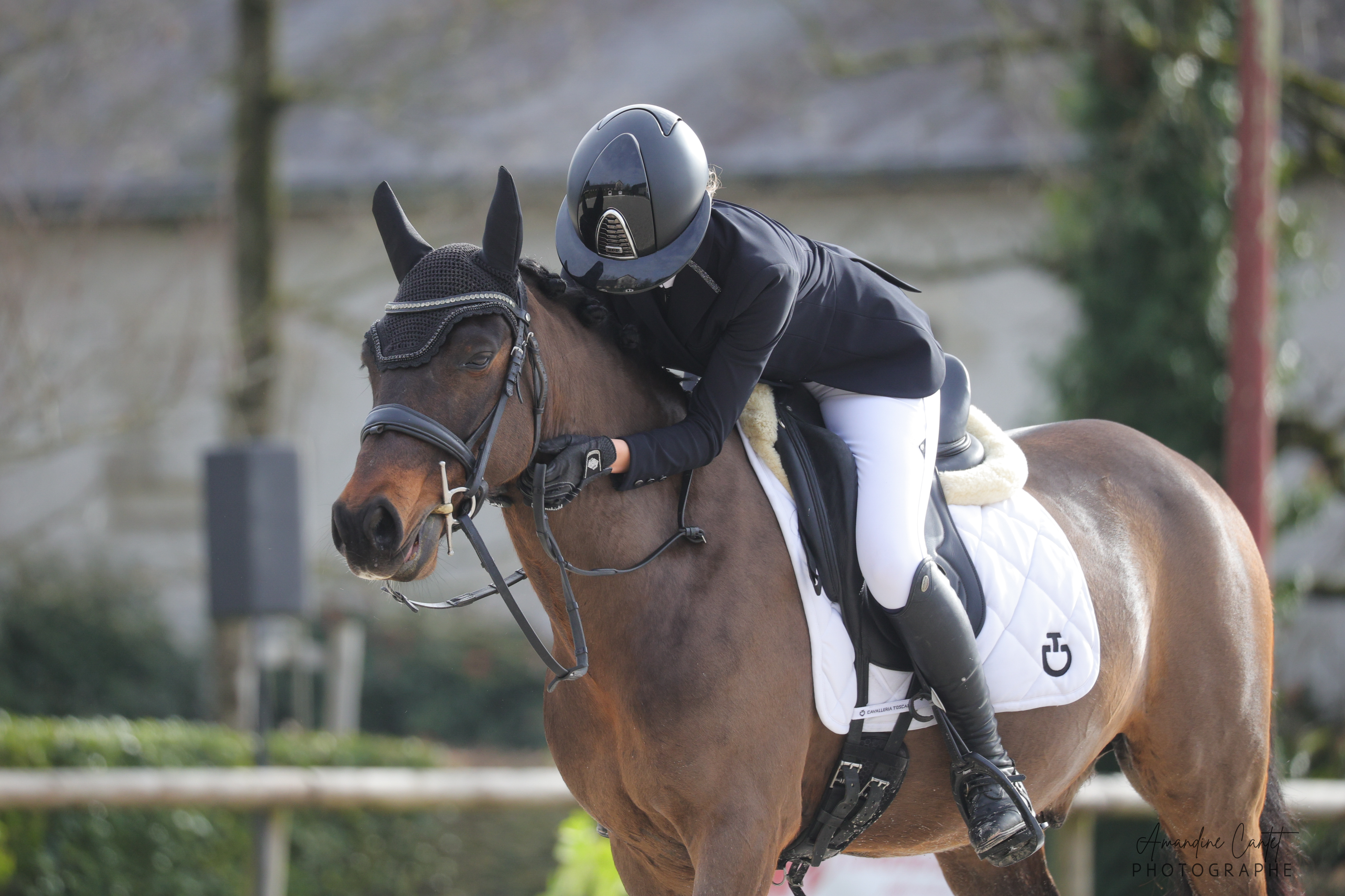 Dressage – passage en cadence
