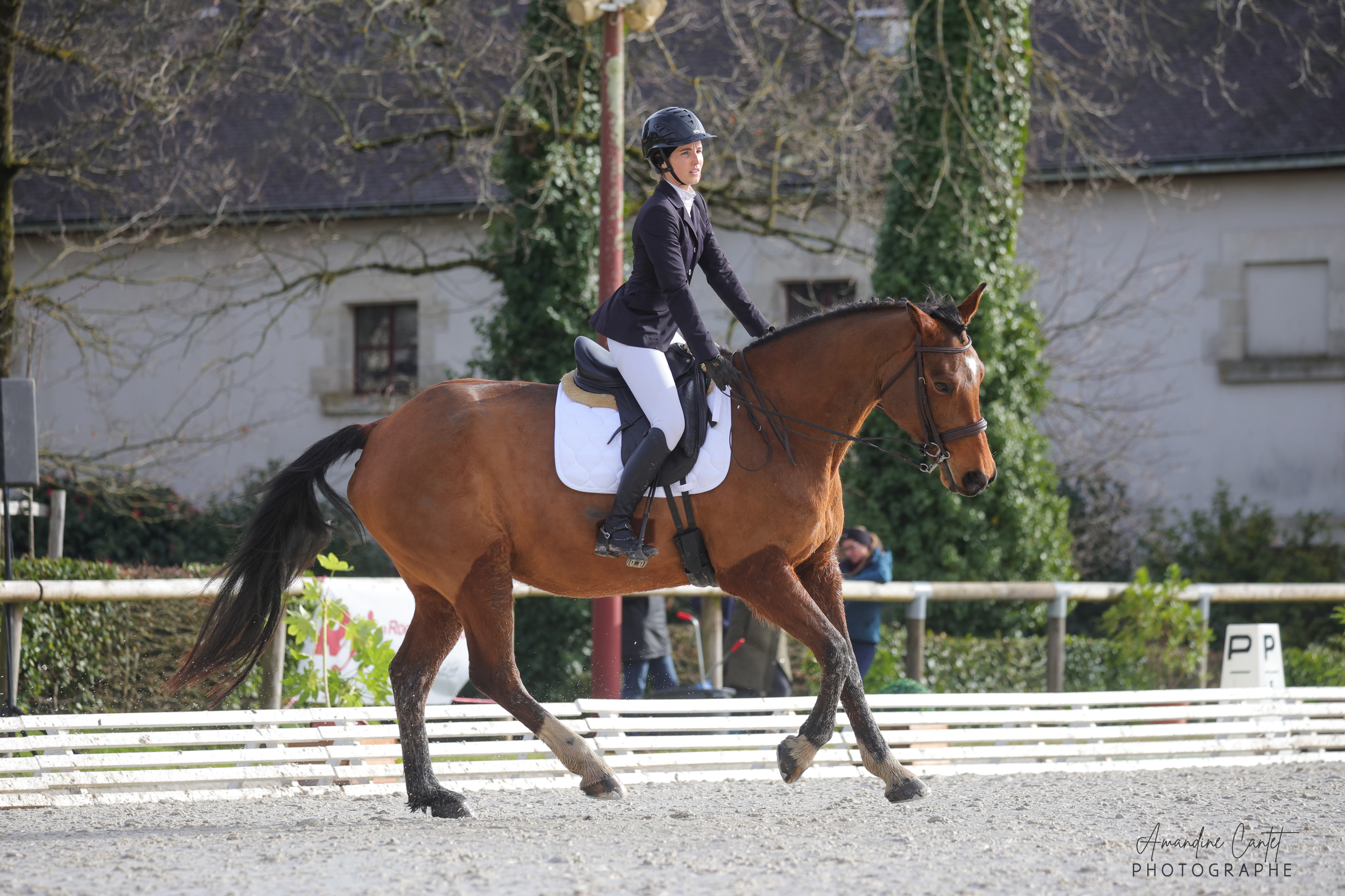 Dressage – vue rapprochée