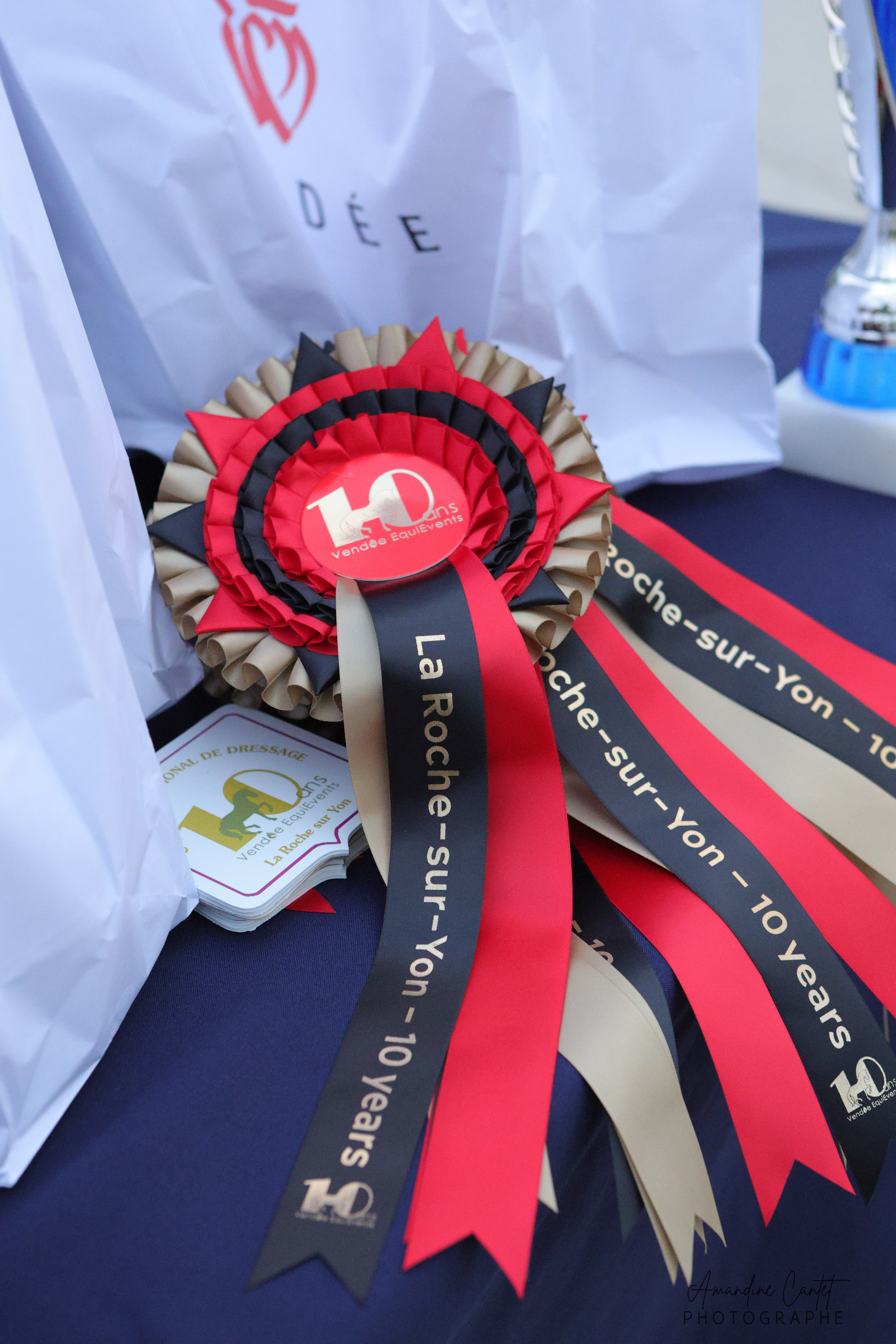 Dressage – vue large en carrière