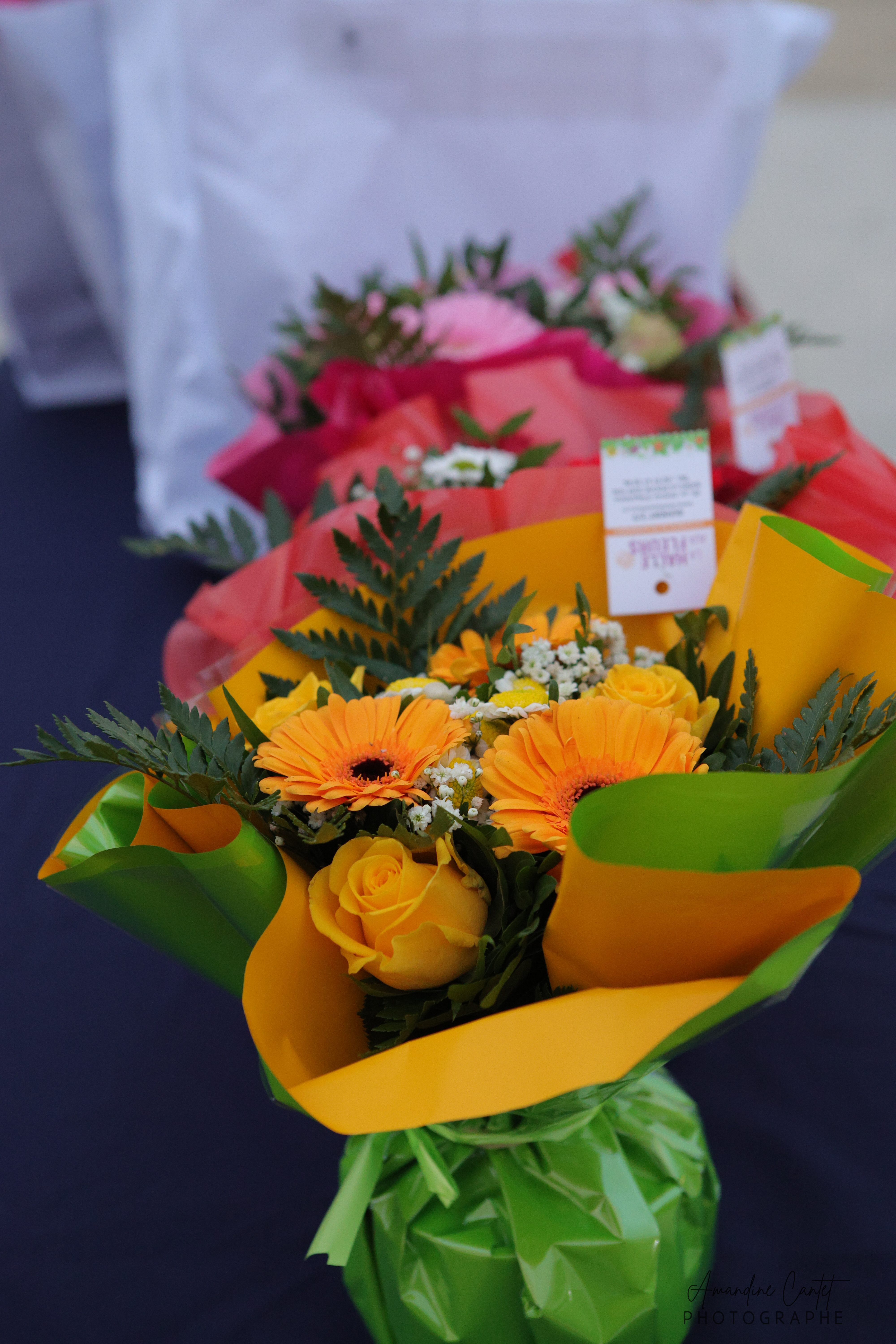 Dressage – reprise en carrière