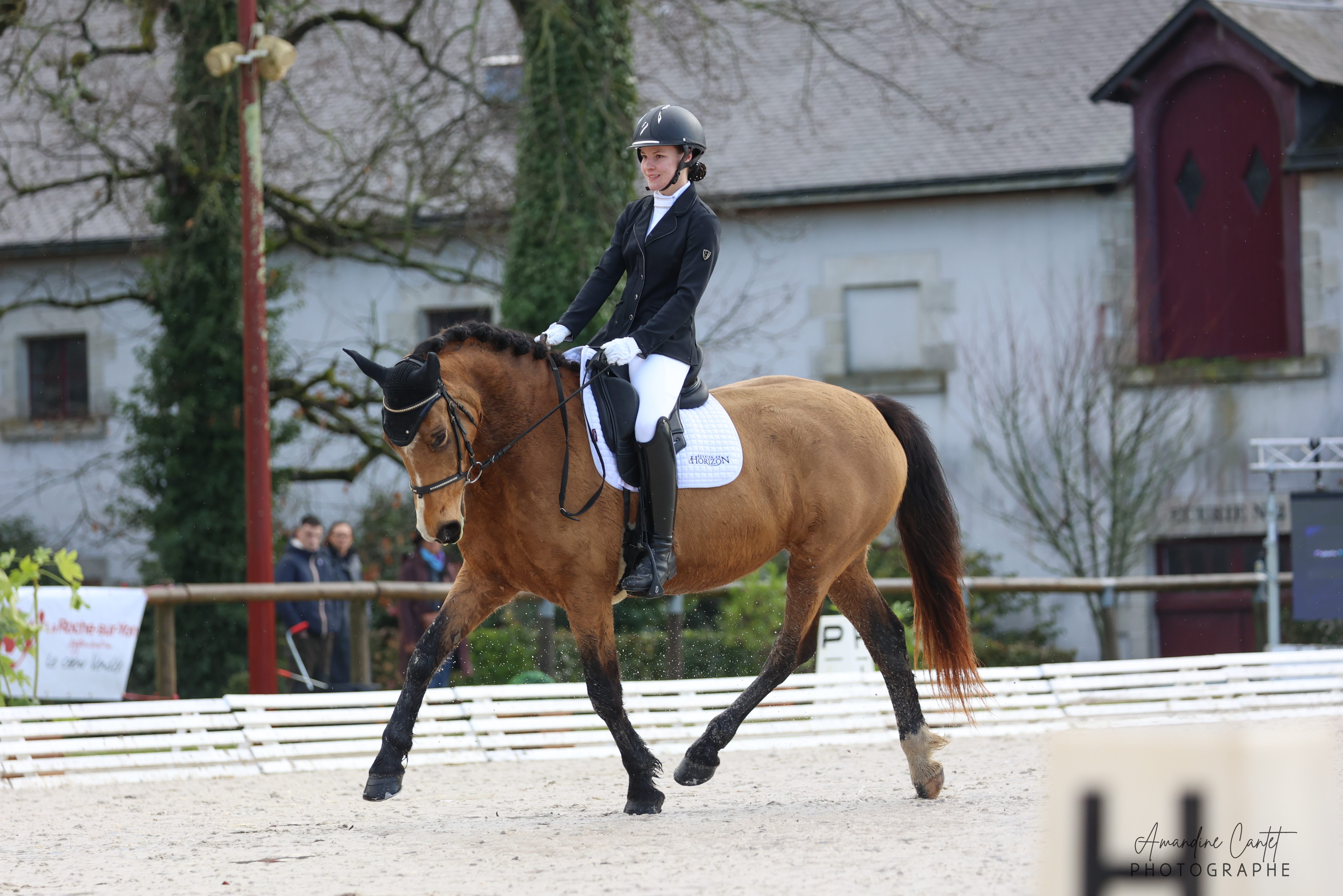 Dressage – cavalier et cheval sur le rectangle