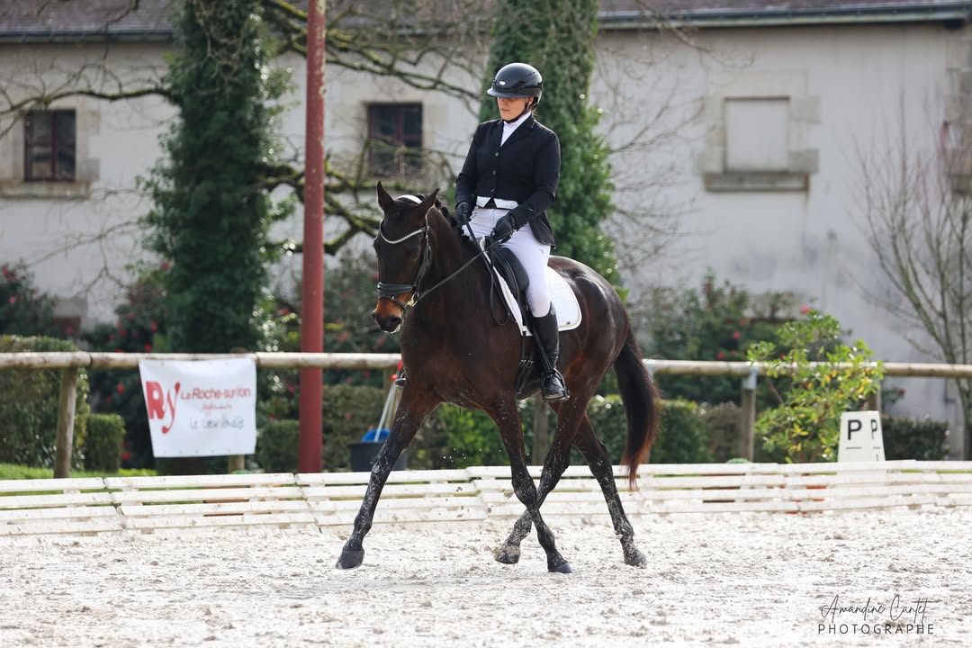 Publication Facebook Vendée EquiEvents